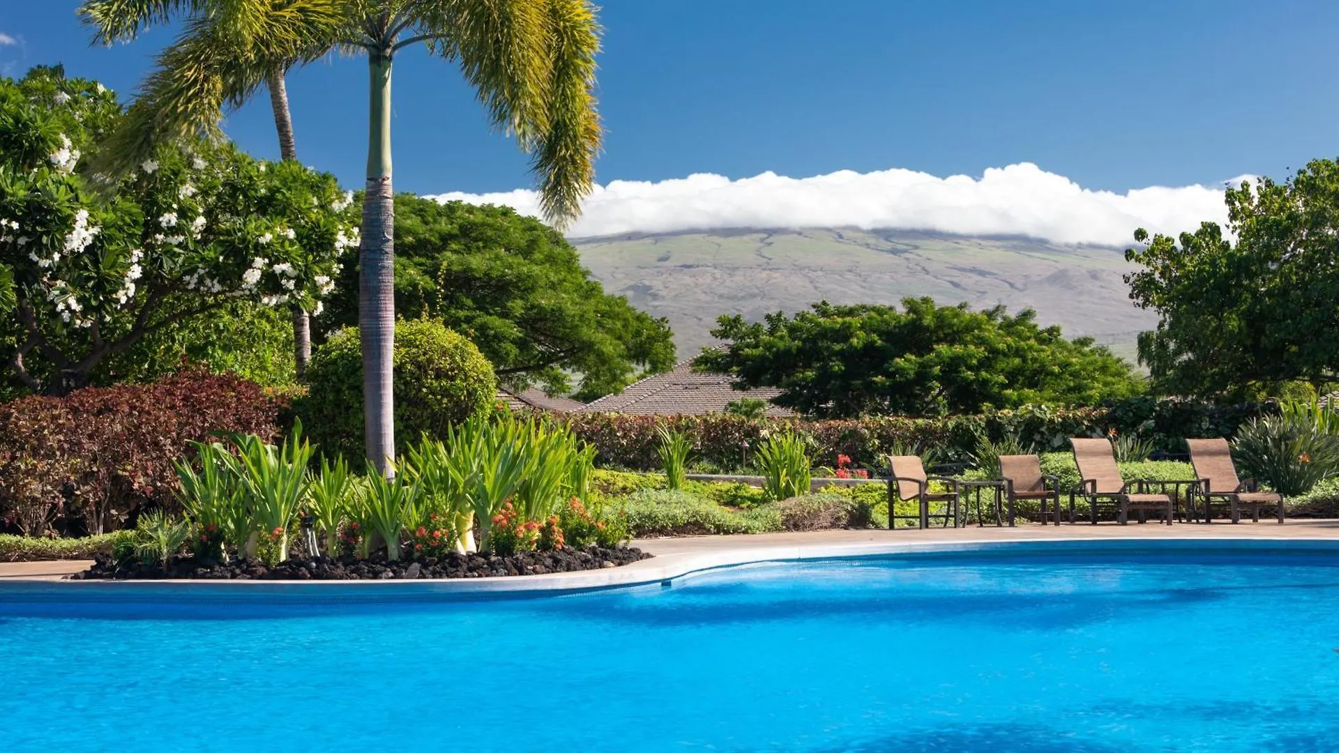 Tatil Evi Shades Of Summer Private Detached Home Close To Pools And Beaches Waikoloa ABD
